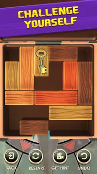 Unblock Puzzle: Slide Blocks Screen Shot 0
