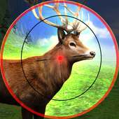 Deer Hunting Sniper Safari polowanie na zwierzęta