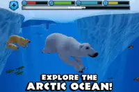 Polar Bear Simulator Screen Shot 2