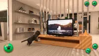My Running Cat Family Pet Sim Screen Shot 2