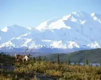 Alaska New Jigsaw Puzzles Screen Shot 3