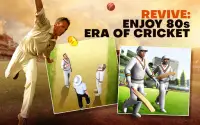 Cricket World Champions Screen Shot 7
