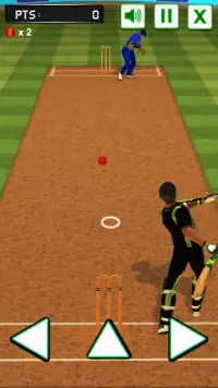 क्रिकेट बल्लेबाजी चुनौती Screen Shot 1