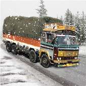 Indian Truck Driver Cargo Duty