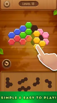 Hexa Puzzle: Wood Block Puzzle Game Screen Shot 2