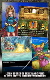 Dragon Quest VI Screen Shot 3