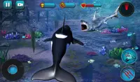 Killer Whale Beach Attack 3D Screen Shot 9