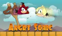 Angry Sonic Screen Shot 3