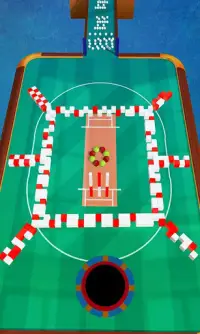 Color Cricket.IO- Hole 3D Screen Shot 2