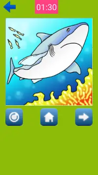 Sea Animal Puzzle Screen Shot 4