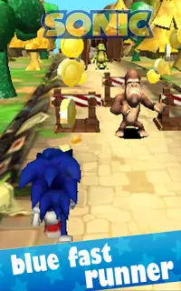 Blue Fast Hedgehog : Jungle Run Adventure Screen Shot 0