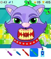 Cat dentist games Screen Shot 0