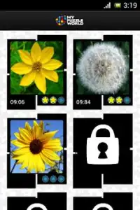 Flowers Puzzle – MPW Screen Shot 1