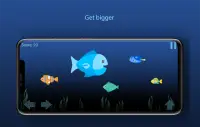 Get Big: Fishy Game Screen Shot 3