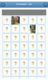 النباتات المنزلية - quiz Screen Shot 3