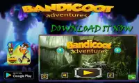 Bandicoot Adventure Subway Screen Shot 0