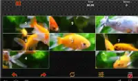 New Animal Puzzle Screen Shot 4