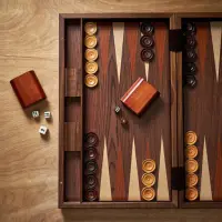 Backgammon - free backgammon game Screen Shot 1