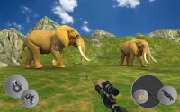 Wild Animal Hunting - 3D Sniper Game Screen Shot 1