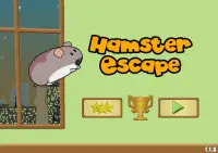 Hamster Escape Screen Shot 8