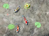 Nourrir les poissons Koi Screen Shot 4