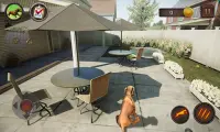 Dachshund Dog Simulator Screen Shot 0