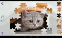 Jigsaw Puzzles Cats Screen Shot 6