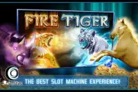 Fire Tiger Slots Screen Shot 5