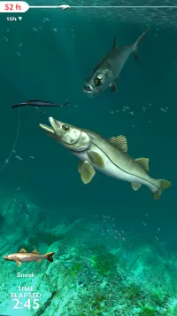 Rapala Fishing - Daily Catch Screen Shot 5