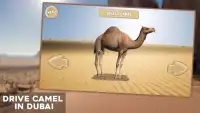 Drive Camel in Dubai Screen Shot 3