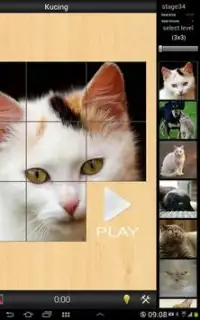 Permainan Kucing Screen Shot 3