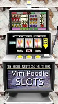 3D Mini Poodle Slots - Free Screen Shot 0