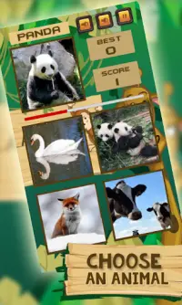 Animal Match Quiz Screen Shot 1