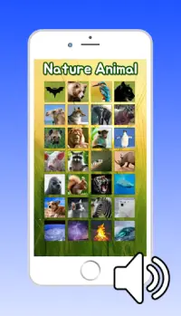 子供のための自然な動物の音 Screen Shot 3