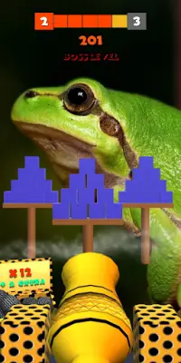 Frog Shooting Ball Screen Shot 3