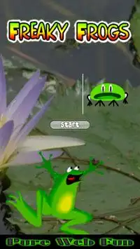 Freaky Frogs Screen Shot 0