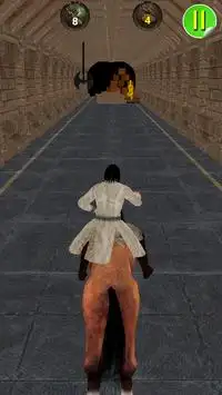 Dungeon Assassin Horse Run 3D Screen Shot 2