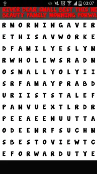 Word Search Multilanguage Screen Shot 9