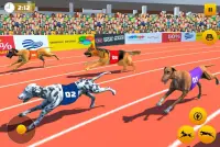Dog Race Game: Dog Racing 3D Screen Shot 1