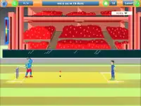 Indian Cricket Super League Screen Shot 10