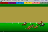 Flat Race Horse Racing Screen Shot 1