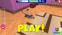 InstaKitty 3D-Virtual Cat Sim Screen Shot 2