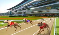 Ultimate Dog Racing Screen Shot 0