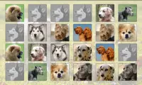 Dogs Memory Game Free Screen Shot 4