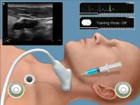 Ultrasound Guided Vascular Access Simulation Screen Shot 1