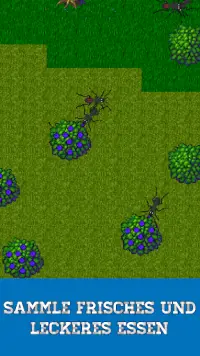 Ant Evolution - ameisensimulator Screen Shot 1