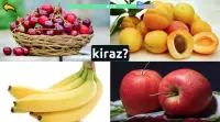 Learn Fruits Vegetables in Turkish Screen Shot 4