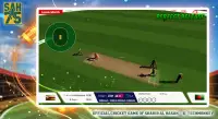 SAH75 Cricket Championship Screen Shot 5