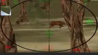 Sniper Hunting - 4x4 Off Road Screen Shot 5