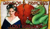 Dragon & Princess Lost Kingdom Screen Shot 0